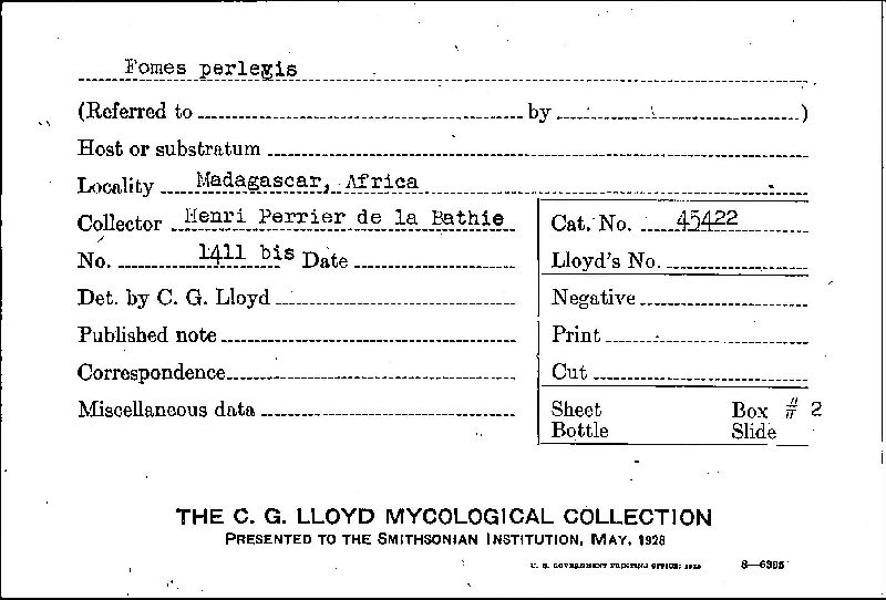 Fomes perlevis image