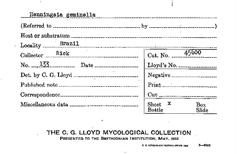 Henningsia geminella image