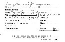 Gloeophyllum subferrugineum image