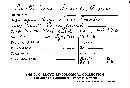 Cylindrobasidium laeve image