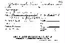 Conferticium insidiosum image