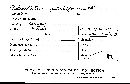 Microporellus obovatus image