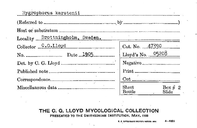 Hygrophorus karstenii image