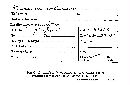 Stereum vellereum image