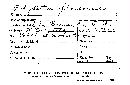 Coriolopsis floccosa image