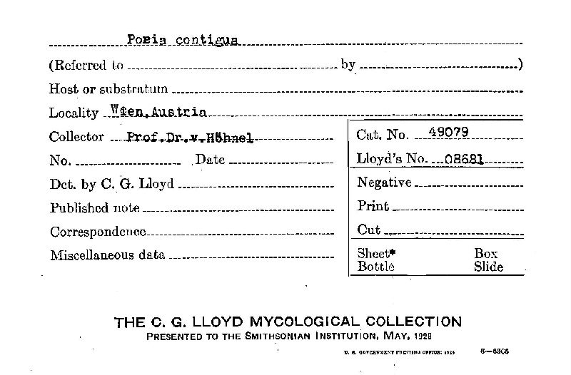 Fuscoporia contigua image