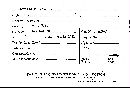 Clavulinopsis fusiformis image