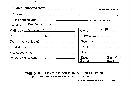 Hydnum subsquamosum image