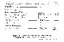 Steccherinum ochraceum image