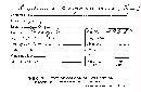 Nothopanus eugrammus image