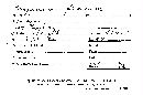 Hydnum flavum image