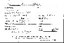 Scleroderma cepa image