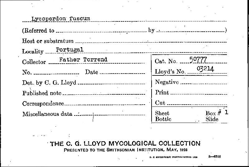 Lycoperdon fuscum image
