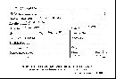 Fuligo septica image