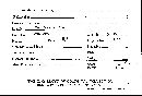 Scleroderma tenerum image