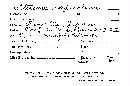 Cymatoderma caperatum image