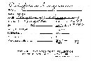 Ischnoderma benzoinum image