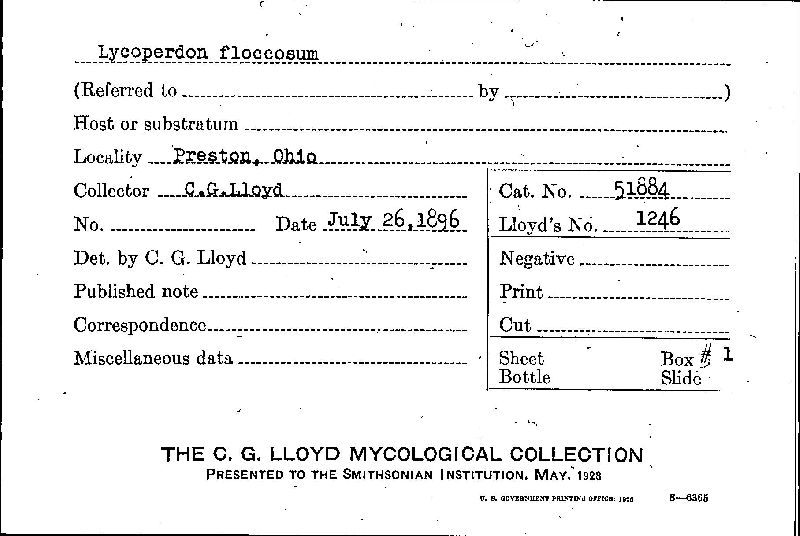 Lycoperdon floccosum image