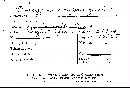 Fomitopsis spraguei image