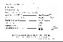 Scleroderma flavidum image