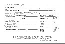 Scleroderma flavidum image