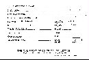 Scleroderma flavidum image