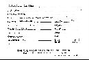 Scleroderma flavidum image