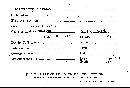 Scleroderma flavidum image