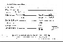 Scleroderma flavidum image