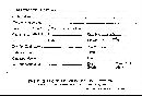 Scleroderma flavidum image