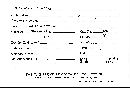 Scleroderma flavidum image