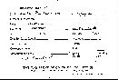 Scleroderma cepa image