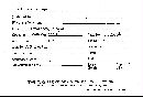 Scleroderma cepa image