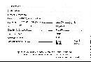 Scleroderma cepa image