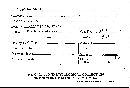 Bjerkandera adusta image