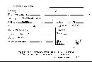 Bjerkandera adusta image