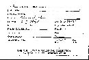 Antrodia albida image