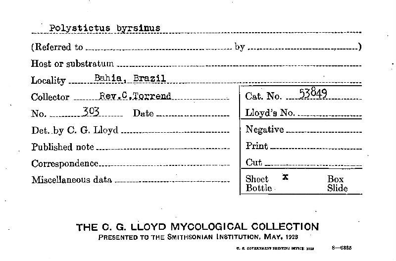 Coriolopsis byrsina image