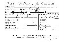 Porotheleum fimbriatum image