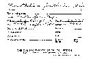 Porotheleum fimbriatum image