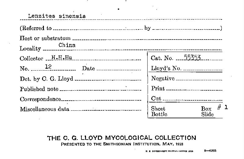 Lenzites sinensis image