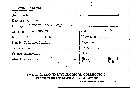 Irpex lacteus image