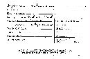 Steccherinum ochraceum image