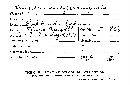 Gloeophyllum subferrugineum image