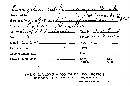 Gloeophyllum subferrugineum image