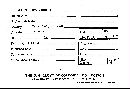 Scleroderma polyrhizum image