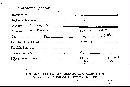 Scleroderma polyrhizum image