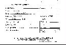 Scleroderma polyrhizum image