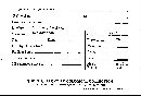 Lycoperdon gemmatum image