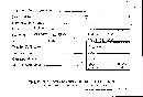 Scleroderma polyrhizum image